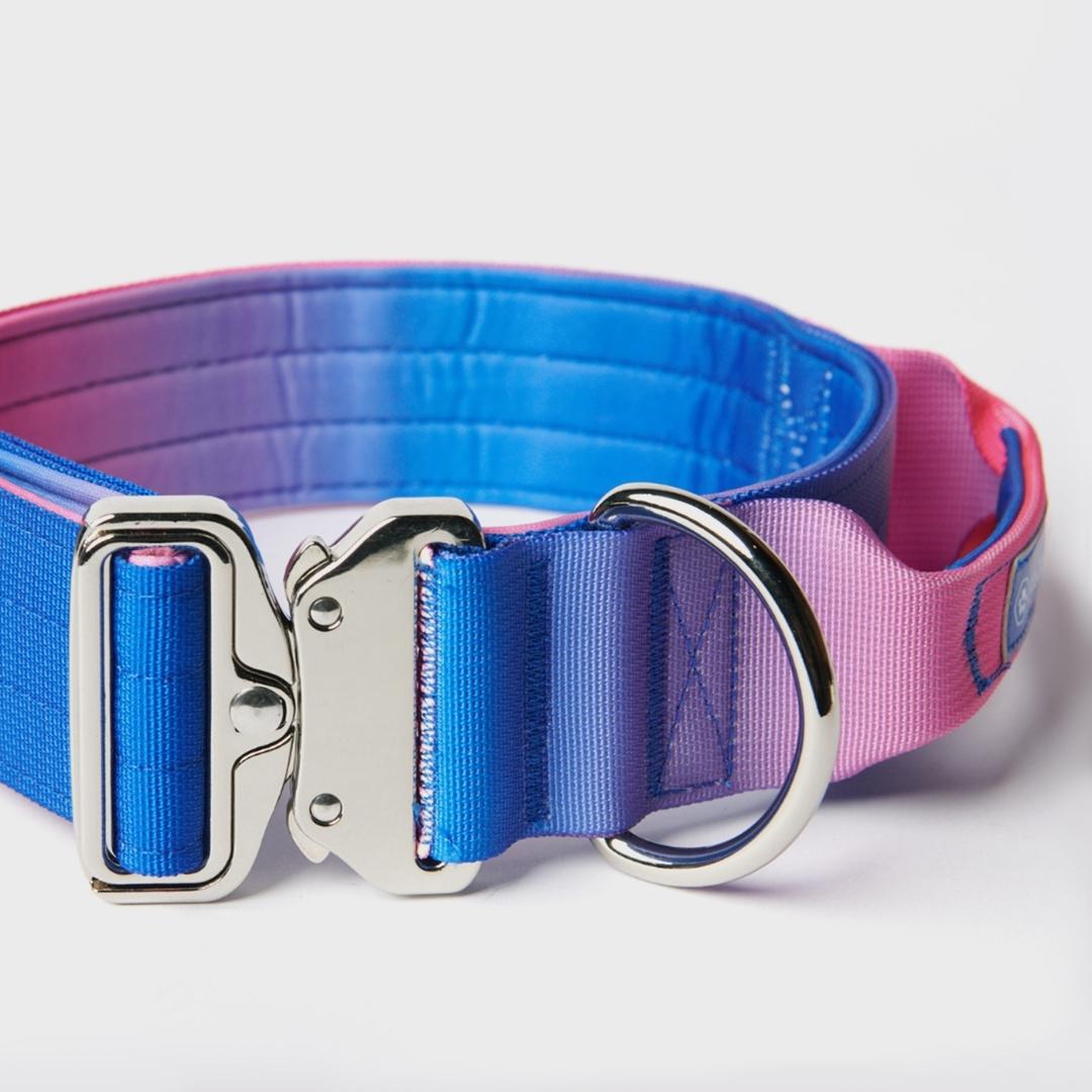 Collier pour Chien avec Poignée Tactique Snow Cone - Spark Paws